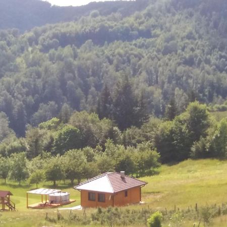 Turizam Koturovic Bed & Breakfast Ivanjica Eksteriør bilde
