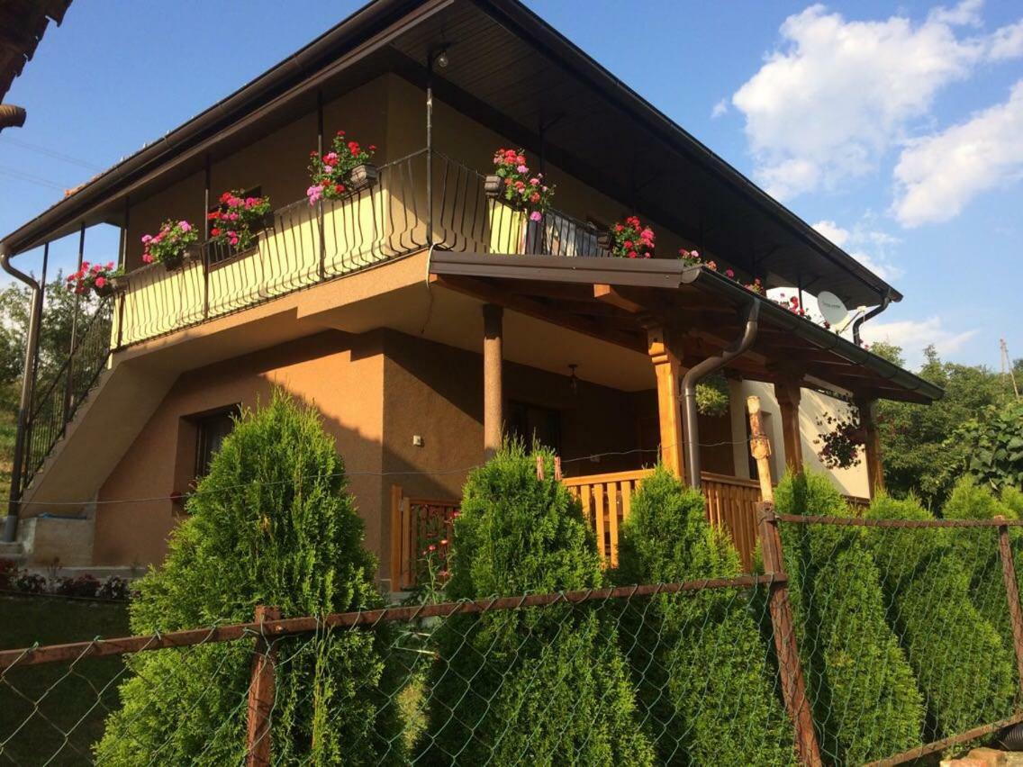 Turizam Koturovic Bed & Breakfast Ivanjica Eksteriør bilde