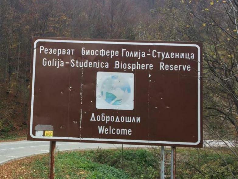 Turizam Koturovic Bed & Breakfast Ivanjica Eksteriør bilde