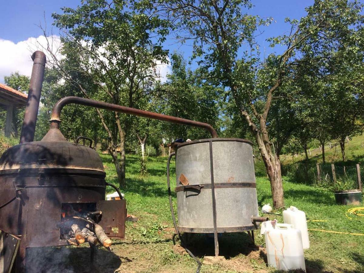 Turizam Koturovic Bed & Breakfast Ivanjica Eksteriør bilde