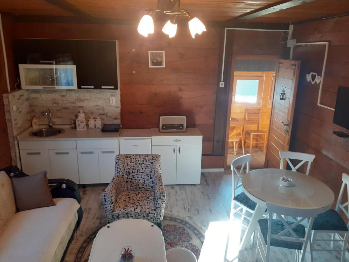 Turizam Koturovic Bed & Breakfast Ivanjica Eksteriør bilde