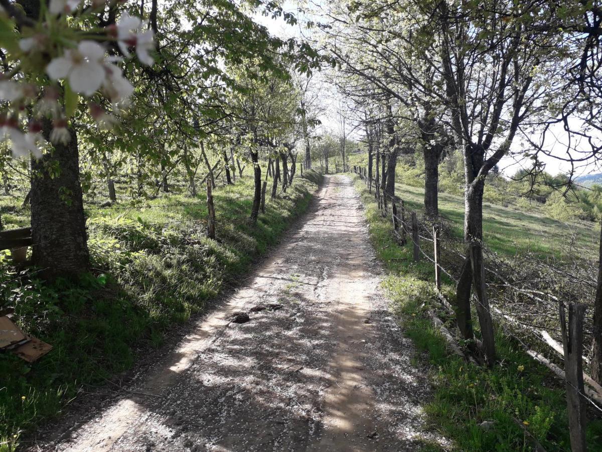 Turizam Koturovic Bed & Breakfast Ivanjica Eksteriør bilde